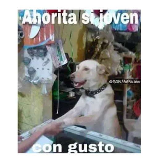 Ahorita no Joven - Sticker 15