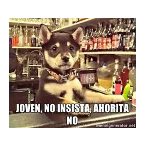 Ahorita no Joven - Sticker 12