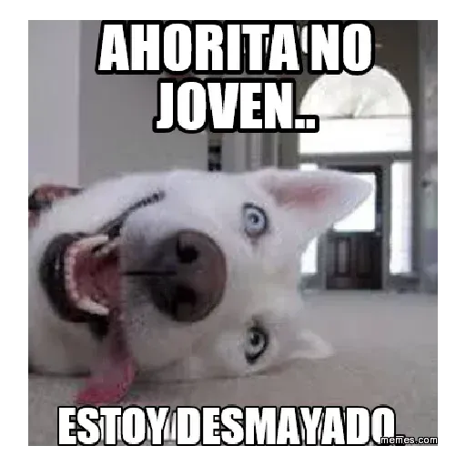 Ahorita no Joven - Sticker 9