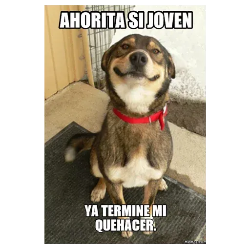 Ahorita no Joven - Sticker 14