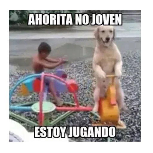 Ahorita no Joven - Sticker 10