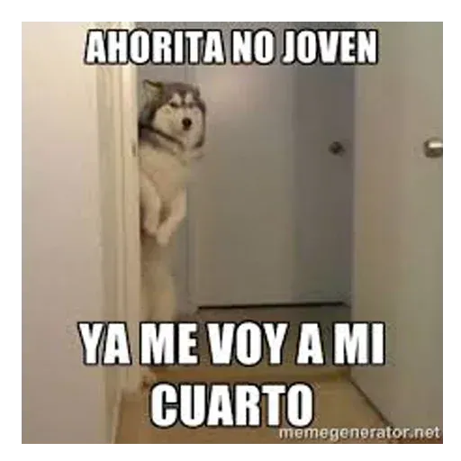 Ahorita no Joven - Sticker 11