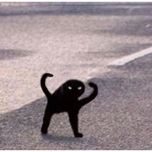 gatas - Sticker 23