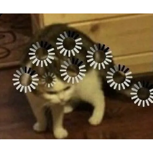 gatas - Sticker 19
