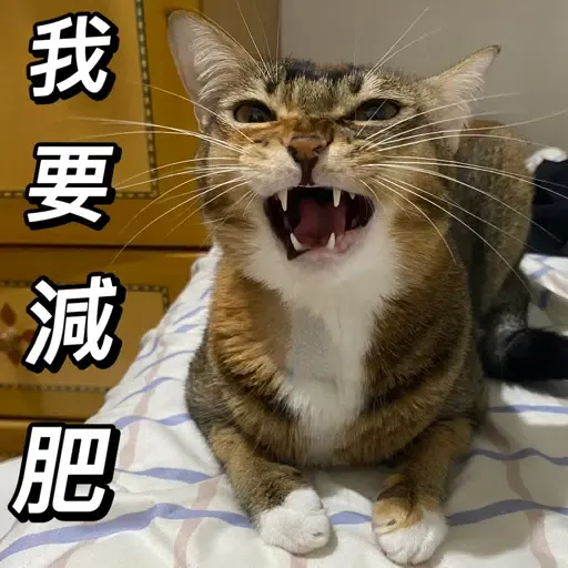 金絲貓3 - Sticker 13