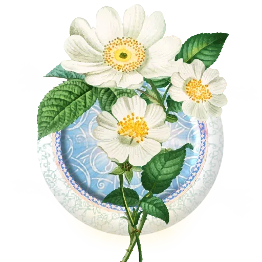 Gol - Sticker 18