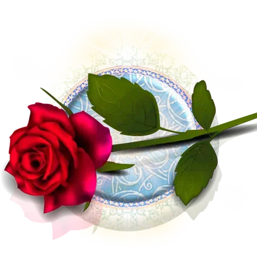 Gol - Sticker 13