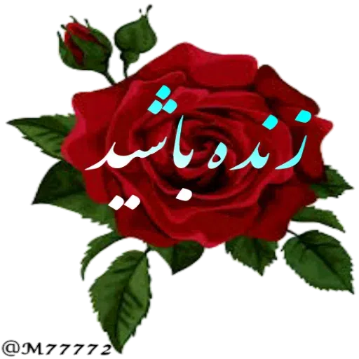 سمی - Sticker 27