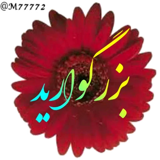 سمی - Sticker 25