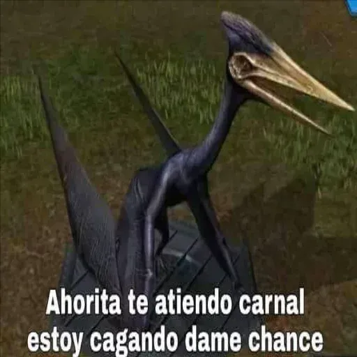 Dinomemes - Sticker 14