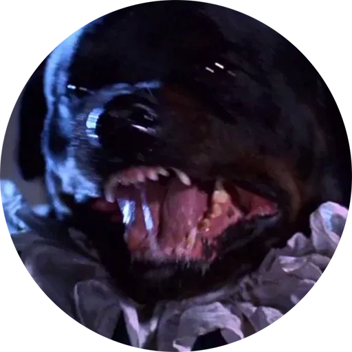 Lol - Sticker 24