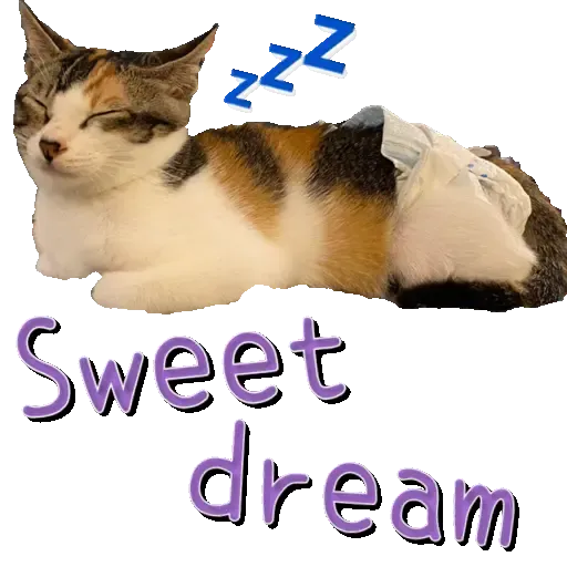 Hug&Home_可愛篇 - Sticker 9