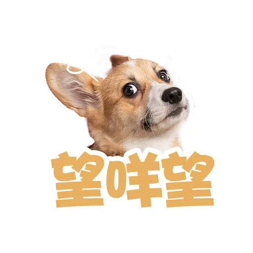 11週年•全家總動員 - Sticker 11
