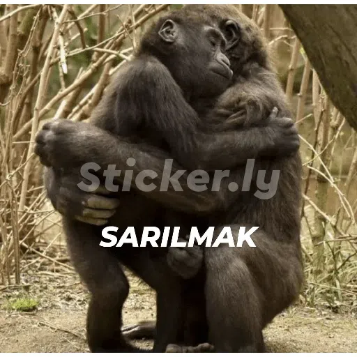 Hey! Give me a titlehi - Sticker 21