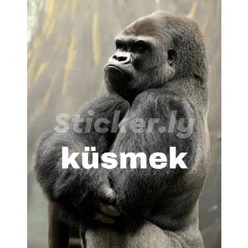 Hey! Give me a titlehi - Sticker 26