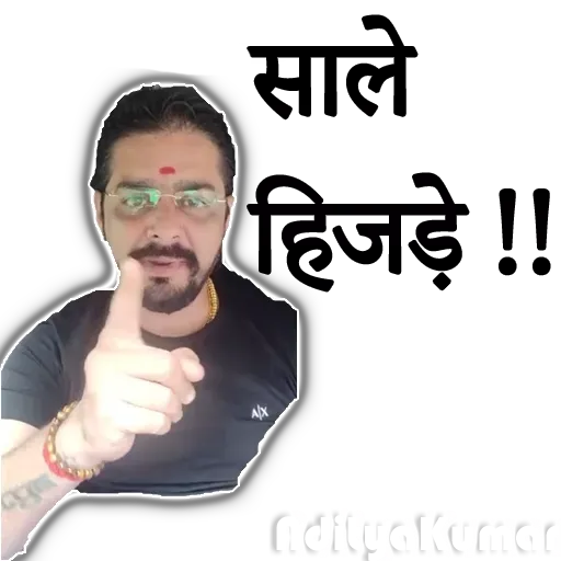 Hindustani bhauu - Sticker 15