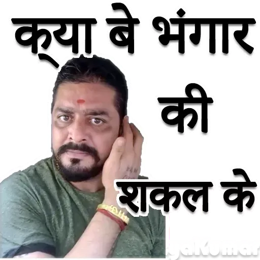 Hindustani bhauu - Sticker 11