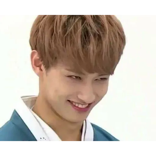 Seventeen - Sticker 18