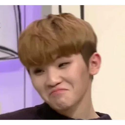 Seventeen - Sticker 12