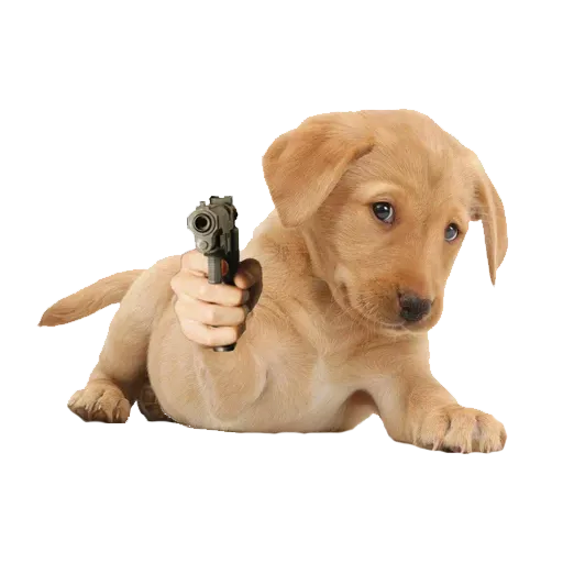 64209 - Sticker 17