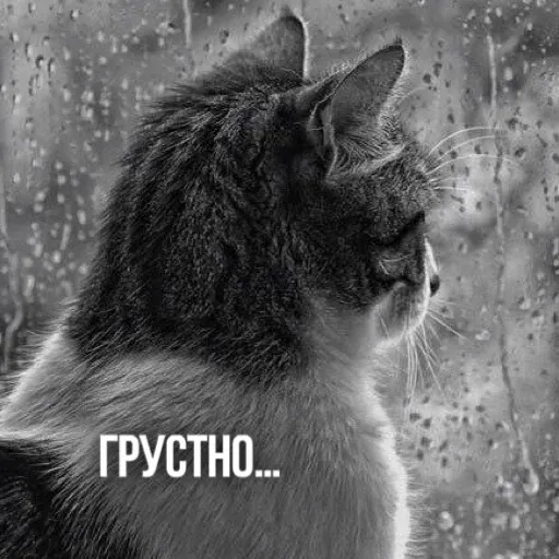 Х - Sticker 9