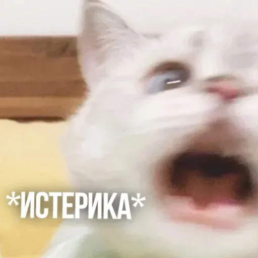 Х - Sticker 13