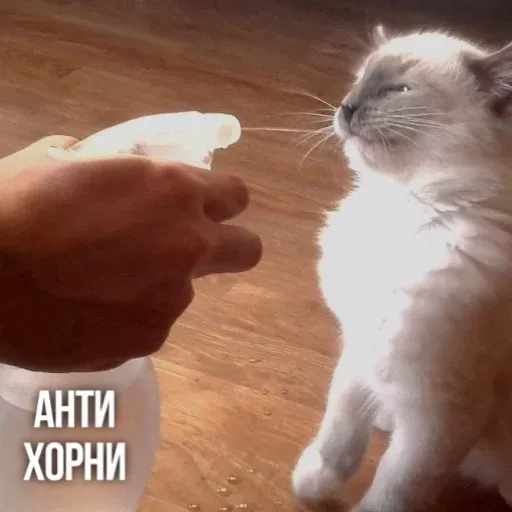 Х - Sticker 16