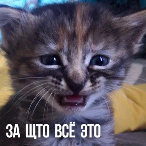 Х - Sticker 14