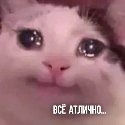 Х - Sticker 10