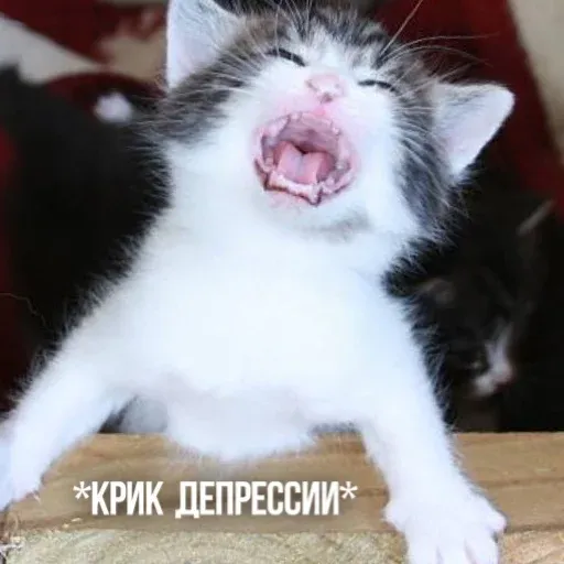 Х - Sticker 15
