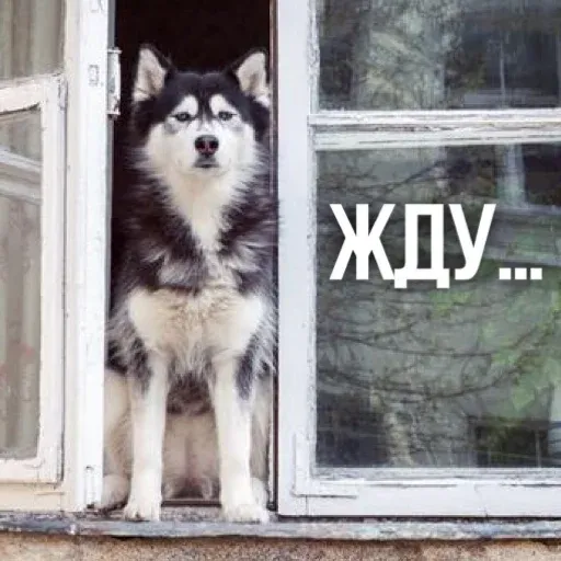 Х - Sticker 19