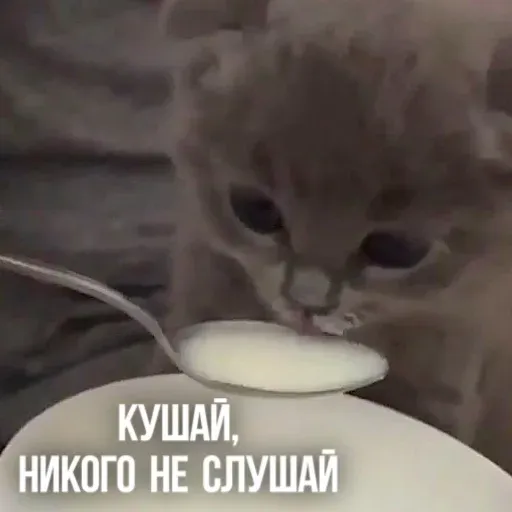 Х - Sticker 18