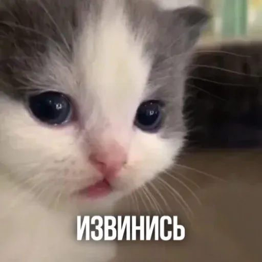 Х - Sticker 11