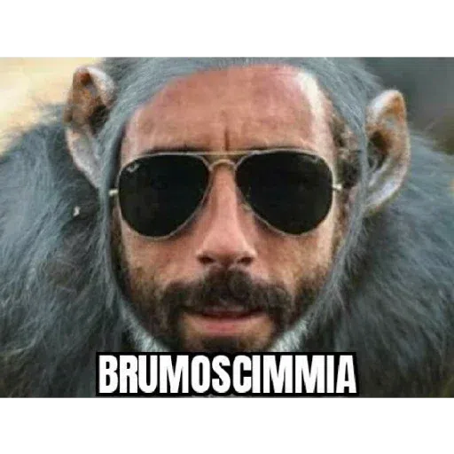 Monkey - Sticker 18