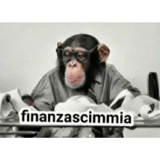 Monkey - Sticker 21