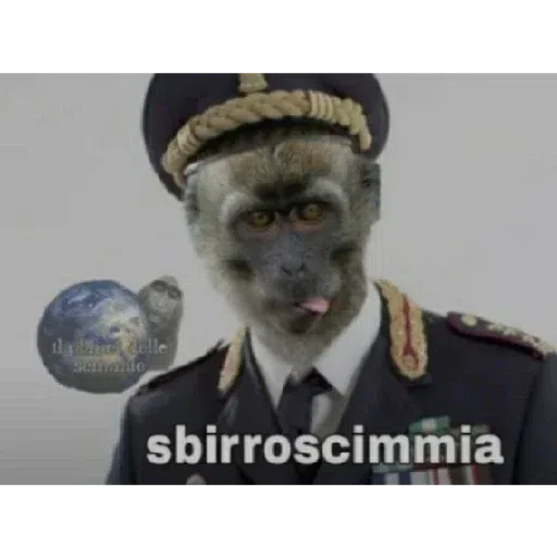 Monkey - Sticker 27