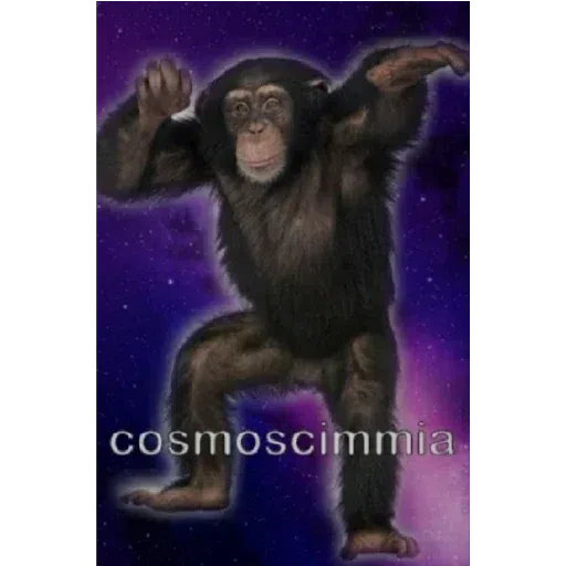 Monkey - Sticker 29