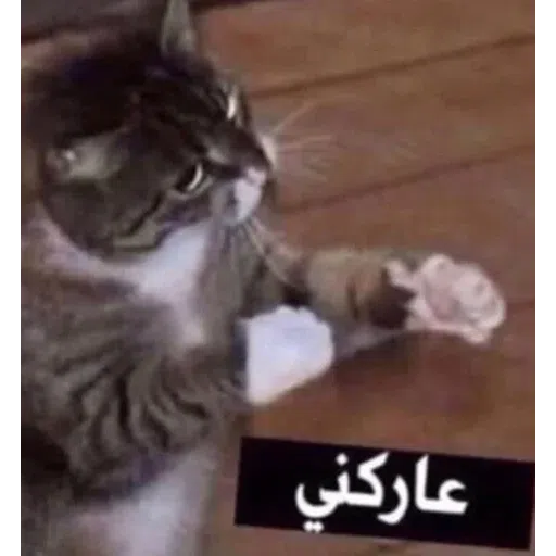 احتياط :) - Sticker 11