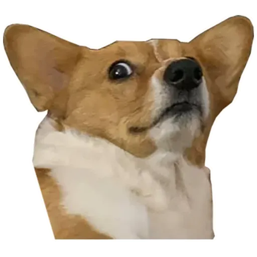 Meme Collage pt2 - Sticker 29