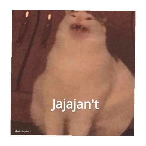 jsj - Sticker 20