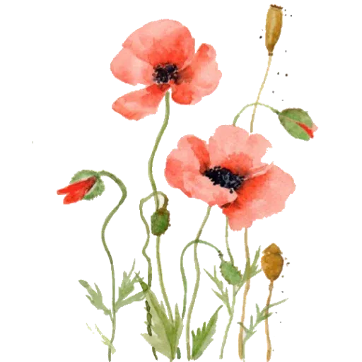 flower - Sticker 15