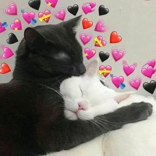 Cat1 - Sticker 27