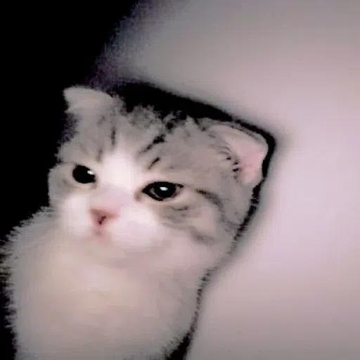Animalcute - Sticker 29