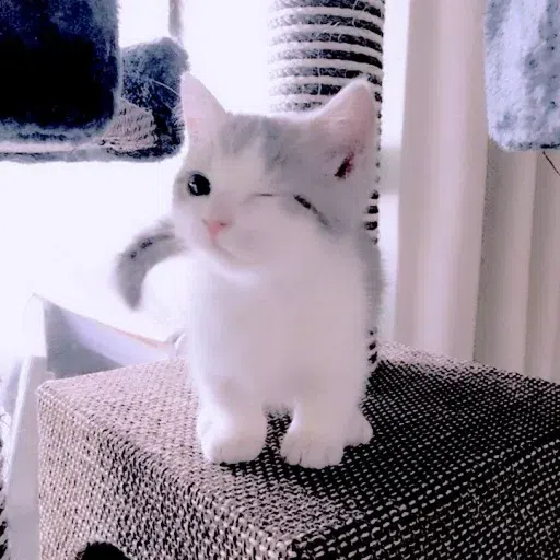 Animalcute - Sticker 28