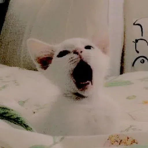 Animalcute - Sticker 18