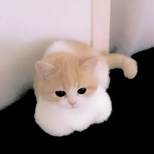 Animalcute - Sticker 25