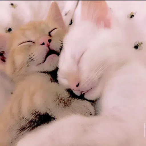 Animalcute - Sticker 20