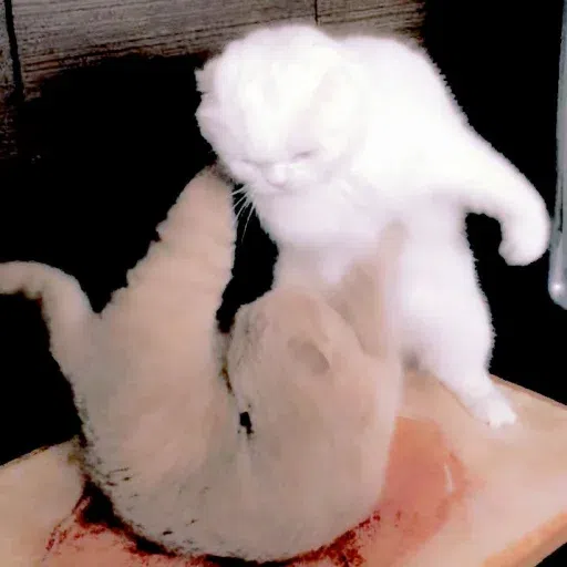 Animalcute - Sticker 12