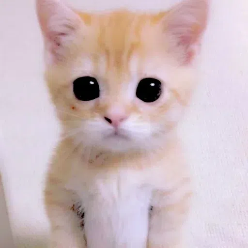 Animalcute - Sticker 27