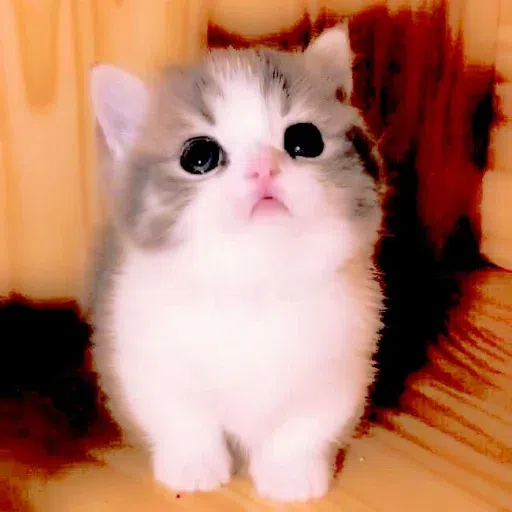 Animalcute - Sticker 24